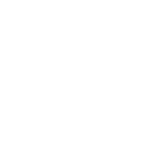 Veropelle